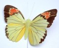 207745 Veren vlinder geel